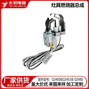 Ensemble de brûleur pilote Q3450 Q3453 Q3480, allumeur électrique 24 volts pour chaudière à gaz, pièces détachées - Product Image 2