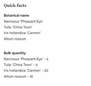 Cina Town Iris hollandica Carmen Allium roseum perché amiamo la collezione di bulbi da <span class=keywords><strong>giardino</strong></span> <span class=keywords><strong>giardino</strong></span> kit di fiori da <span class=keywords><strong>giardino</strong></span> - Product Image 5