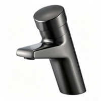 Keran Wastafel Otomatis Self Delay Auto Close Tap Deck Mounted Warna Emas Brushed Untuk Toilet Umum Komersial Pabrik Langsung Garansi 3 Tahun