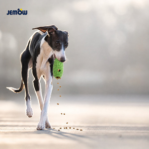 Juguete para Mascotas Ecológico con Forma de Melón Amargo de TPR, Juego de Olfateo, Almacenamiento de Alimentos, Juguete Molar, Entretenimiento Diario para Perros, Dispensador de Golosinas - Product Image 1
