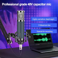 Microphone Professionnel Filaire Biner OEM V11 à Condensateur 48V pour Enregistrement Studio, Chat en Ligne et Jeux Vidéo