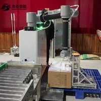 Robot palettiseur Mushi, Cobot palettiseur, Machine de palettisation automatique de cartons, Boissons, Tabac, Aliments, Moteur électrique PLC, Film
