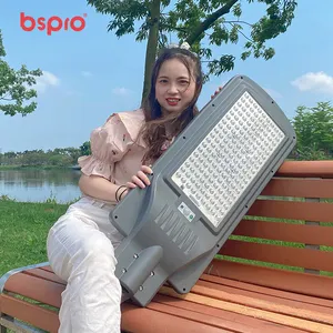 Bspro Solor Led Luminaire 경쟁가격 60w 태양 가로등