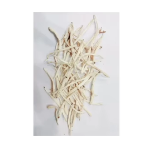 Mussli Stem Indian Herbal Chlorophytum Borivilianum White Mussli en bolsa de embalaje directo de la India - Product Image 3