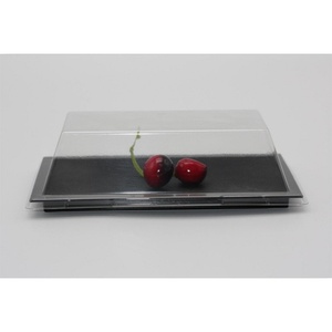 Style <b>Plastic</b> Sushi Dish, Sashimi Plate Snack Plate Box <b>Strip</b> Plate Japanese Food Serving Tray for Restaurant Home Catering - Product Image 3