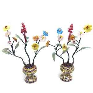 Plante en <span class=keywords><strong>jade</strong></span> <span class=keywords><strong>de</strong></span> grande taille, raisin - Product Image 6