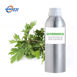 <span class=keywords><strong>Aceite</strong></span> de Southernwood de Alta Pureza, Extracto Natural Puro, Notas Herbales Frescas y Delicadas - Product Image 1