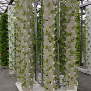 Hydro po nische Anbaus ysteme für den Außenbereich, Aeroponic Gardening Vertical Upright A Frame Aquaponics In Hot Sale/