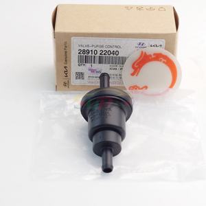 Válvula de Control de Purga 28910-22040 para Hyundai Kia 2891022040 - Product Image 1