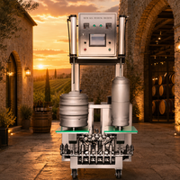 Machine de lavage et de remplissage de fûts Tonsen haute efficacité 1 tête 2 têtes, système de nettoyage et de remplissage de fûts de bière