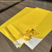 Etiquetas Adhesivas Transparentes Holográficas de Advertencia Médica, Papel Autoadhesivo de Vinilo Ultra Destructible A4, Venta al por Mayor