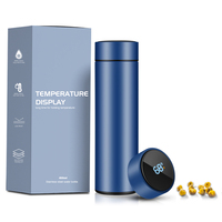 Thermos isotherme en acier inoxydable à double paroi de 500 ml avec logo personnalisé, infuseur à thé et affichage LED de la température