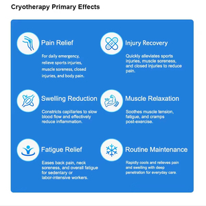 Máquina Portátil de Crioterapia de CO2 para Tratamiento del Dolor en Caballos y Mascotas - Product Image 5