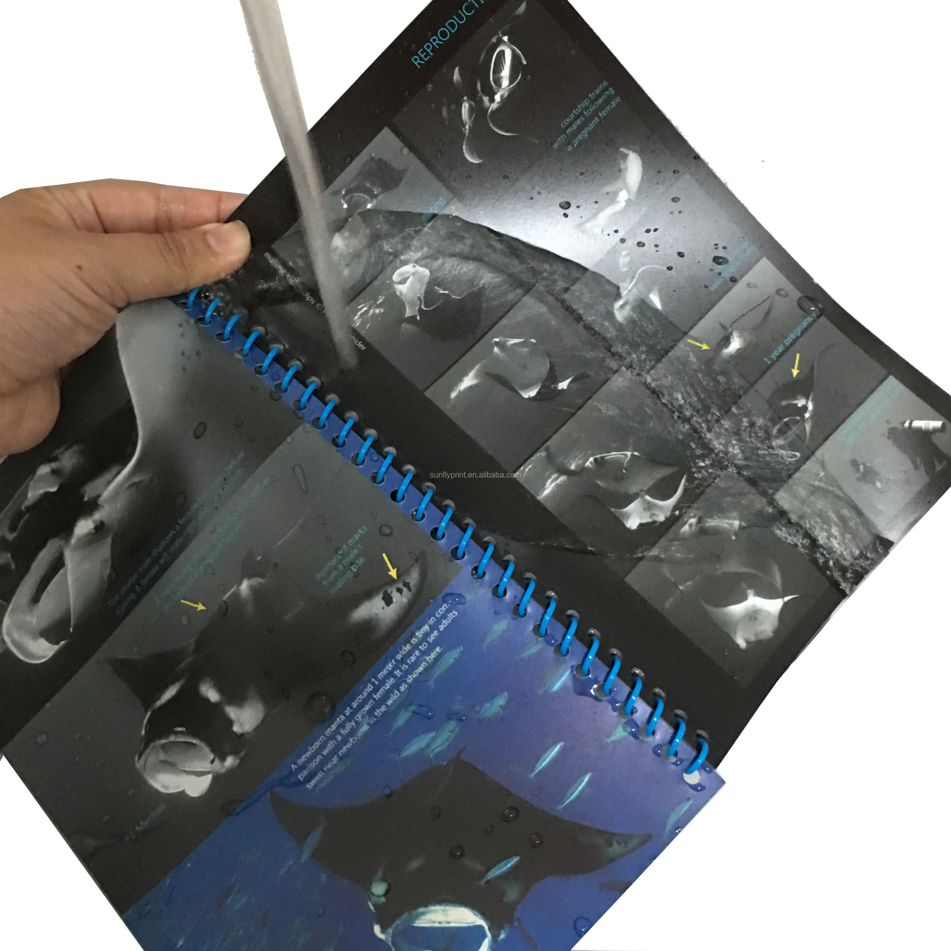 Водонепроницаемый йо печать книги журнала полного цвета принтера журнал полиграфические услуги