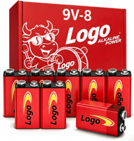 Alkaline 9V Batteries Long-Lasting High Capacity Smoke Detector Radios Clocks Meters Custom Logo Manufacturer