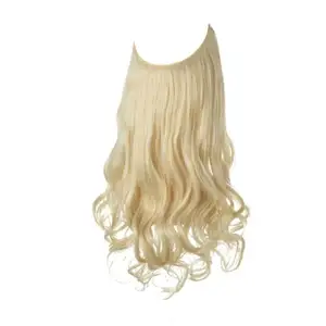 Factory Hot Sale 10 Farben Blondes rohes menschliches Haar Natürliche Wellen haar teile Unsichtbare Fisch linie Haar verlängerung