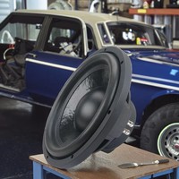Subwoofers de voiture de 12 pouces, amplificateurs et klaxons automobiles de bonne qualité, RMS 300w, amplificateurs automobiles JLD, subwoofers de voiture