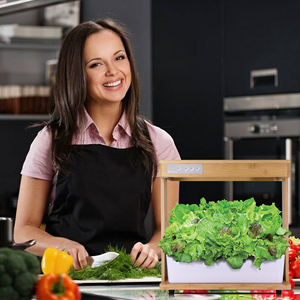 Systèmes de culture hydroponique économiques pour fraises, 3 modes d'éclairage, lampe de culture LED, jardin intelligent 30W - Product Image 2