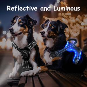 カスタムロゴ 卸売 LEDライトアップ 光る犬用ハーネス 引っ張り防止 オックスフォード生地 通気性 防水 反射材付き 点滅ハーネスベスト - Product Image 6
