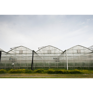 سعر دفيئة زراعية استوائية متعددة الأقسام بإطار معدني لزراعة الطماطم والبستنة - Product Image 2