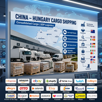Agente de Dropshipping de Amazon, Control de Calidad, Envío Rápido a EE. UU., Reino Unido, Canadá, Alemania, Francia, Australia, Servicio para AliExpress, eBay, Shopify, TikTok Shop