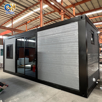 Kits modulaires de maisons préfabriquées en acier de 20 et 40 pieds, fabriqués en Chine, conteneurs extensibles pour usage en cour, préfabriqués résidentiels