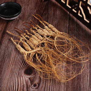 Kotak Hadiah <span class=keywords><strong>Ginseng</strong></span> Putih Tumbuh di Hutan Grosir 10 Akar 50g Dari Gunung Changbai OEM - Product Image 3