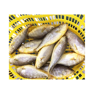 Prix <span class=keywords><strong>du</strong></span> poisson croaker <span class=keywords><strong>jaune</strong></span> frais congelé, entier et rond, de 500-600g, IQF, pour les États-Unis - Product Image 2
