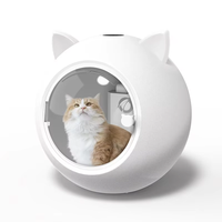 Sèche-poils pour animaux de compagnie à haute vitesse en ABS moderne avec réglage de la température et de la vitesse, sécurité garantie pour les chats