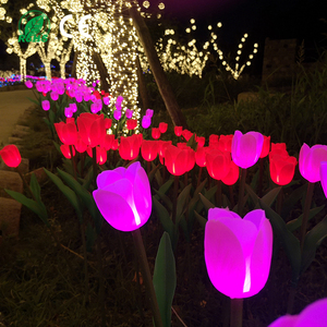 Lumières <span class=keywords><strong>d</strong></span>écoratives de prairie de <span class=keywords><strong>jardin</strong></span> Atmosphère de cour Lumières LED Imperméable <span class=keywords><strong>D</strong></span>écoration de <span class=keywords><strong>jardin</strong></span> Aménagement saisonnier extérieur - Product Image 3