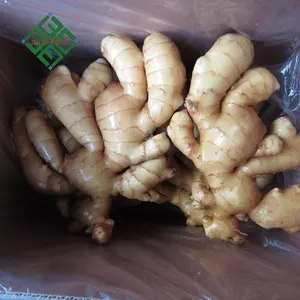 Bright Yellow Ginger Factory / Ginger Packing For Sale