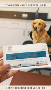 <span class=keywords><strong>ชุด</strong></span><span class=keywords><strong>ตรวจ</strong></span>วินิจฉัยโรคโรคติดเชื้อไวรัสในสุนัขแบบรวดเร็ว <span class=keywords><strong>ชุด</strong></span><span class=keywords><strong>ตรวจ</strong></span>หาแอนติบอดีโรคติดเชื้อไวรัสในสุนัขแบบรวดเร็ว สำหรับโรงพยาบาลสัตว์ - Product Image 5