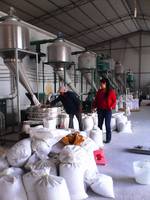 Shouchuang OEM Indonésie Konjac Farine Faisant La Machine Porang Poudre De Glucomannane Farine Processus Purifié ligne