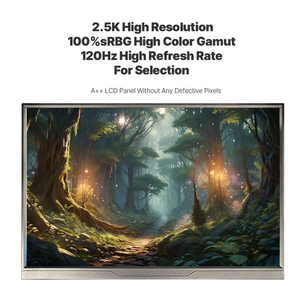 18.5 inch IPS 1920x1080p không có cảm ứng Extender tương thích màn hình di động cho điện thoại máy tính xách tay máy tính - Product Image 2