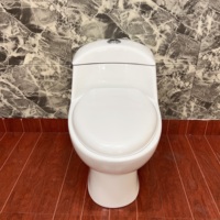 Ensemble WC monobloc en céramique à double chasse, à sortie verticale, design contemporain, pour usage domestique - Vente en gros