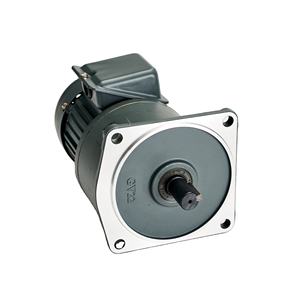 Lage Snelheid Hoge Koppel 2.2kw <span class=keywords><strong>3</strong></span>.7kw 220V Eenfase <span class=keywords><strong>3</strong></span> Fase Kleine <span class=keywords><strong>Motor</strong></span> 50Hz/60Hz Wisselmotor - Product Image 2