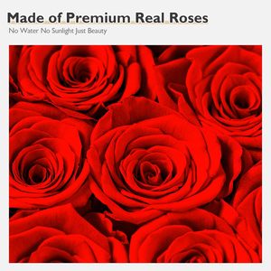16 piezas de flores naturales para siempre, rosas preservadas, <span class=keywords><strong>flor</strong></span> inmortal que dura un año, caja con forma de corazón de Rosa real eterna - Product Image 5