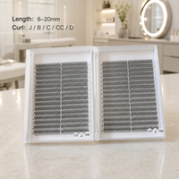 Extensions de cils Premium Anime Lashes Comic Spire Lashes Wispy Spike Premade Fans Easy Fan pour professionnels de salon