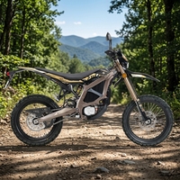 Leistungsstarkes Sur Ron Ultra Bee 24,5KW 74V 60AH Elektro-Dirtbike für Alle Terrains 24500W Schnelles E-Bike Ultra Bee 2026