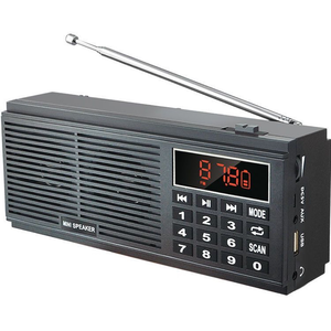 Radio stéréo double canal L-518 avec haut-parleurs, lecteur de cartes AM/FM et affichage de puissance du haut-parleur - Product Image 2