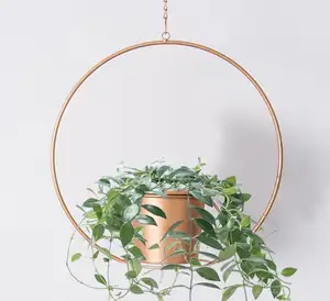 低价花园配件 12 英寸玫瑰金金属丝花园装饰植物衣架与锅