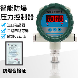 Controlador de Presión Digital a Prueba de Explosiones AN6000 0-100Mpa, Medición Inteligente de Gas y Líquido - Product Image 4