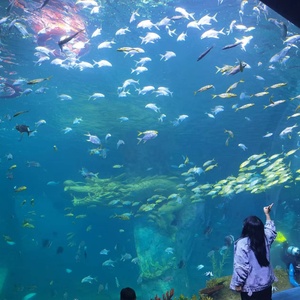 2021新しいデザイン水族館水槽水草造園ボトムフィルターカスタムホーム水槽キャビネットホワイトスペースアクセサリー - Product Image 5