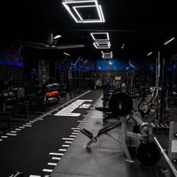 NWT Dicker Synthetischer Kunstrasen Realistischer Künstlicher Grasteppich für Innen- und Außenbereich Fitness-Studio Trainingsrasen Matte Teppich