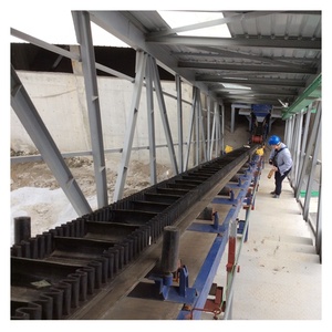 2021 Kleine Schuine Verhoogde Randband Transportband Voor Zandmeststof - Product Image 4