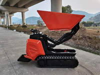 Chuangxin 2026 Mini Dumper sur chenilles diesel, petit camion de transport, moteur, pompe, roulement, haute efficacité, capacité de charge maximale 600 kg