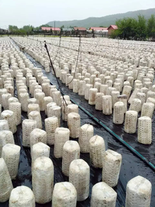 Yeni Nesil Mantar Yetiştirme Torbası Doldurma Makinesi İstiridye Mantarı Doldurma Makinesi Mantar Şişesi Doldurma Makinesi - Product Image 3