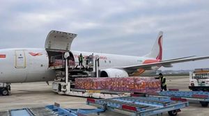 Transporte Aéreo profesional de carga pesada Turkmenistán especializado en envíos de gran tamaño con sobrepeso Almacenamiento de carga experto - Product Image 5