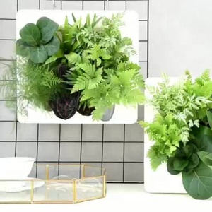 Décoration murale moderne pour la maison, pot de fleurs suspendu en plastique, décorations murales, jardinière pour plantes succulentes, pour l'intérieur - Product Image 6