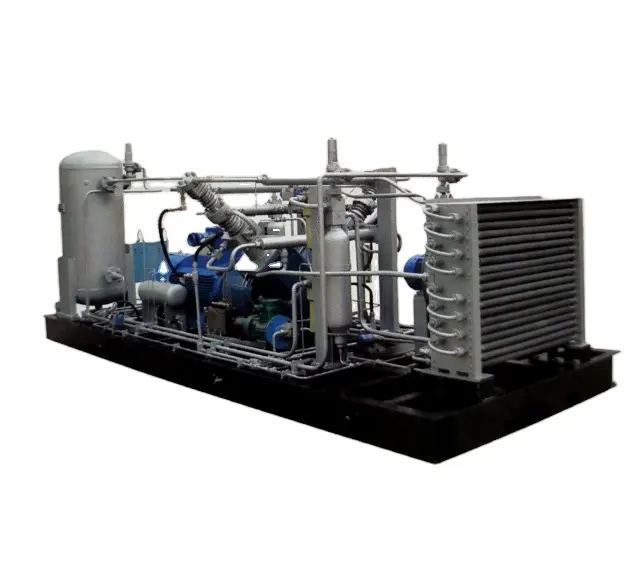 Hogedruk Lpg 250 Bar Station Booster Zuiger Natuurlijk Specail Gas Heen En Weer Bewegende Cng-Gascompressor